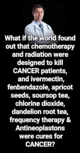 c115ce16e8cbbb4f8f6122cc481689c7