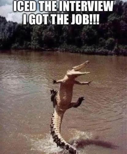 FB_IMG_1751728698398