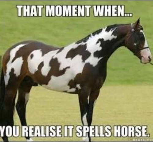 it spells horse