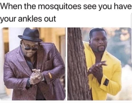 Screenshot_20250712_165033_Gallery