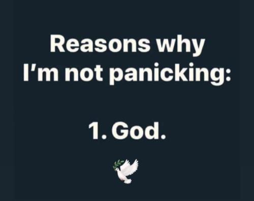 d101d32ca79861fe7cfd9db011858229