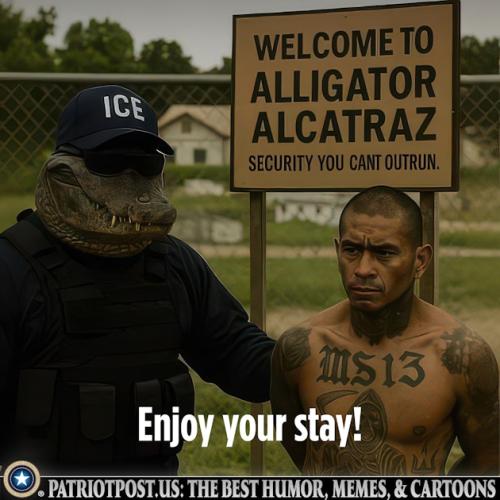 01JZ84BCF63P2KXPDRYPPPJFET