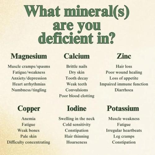 bbb2299f-6cd0-499a-9581-607d6bd19347