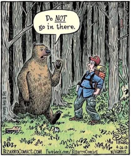 bear-do-not-go-in-there