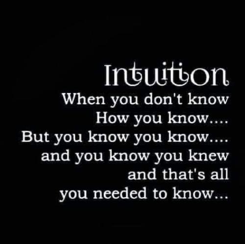 517847819_743902288525966_2084864215985630954_n