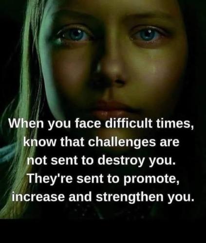 517388810_745802778335917_7651192425112787431_n