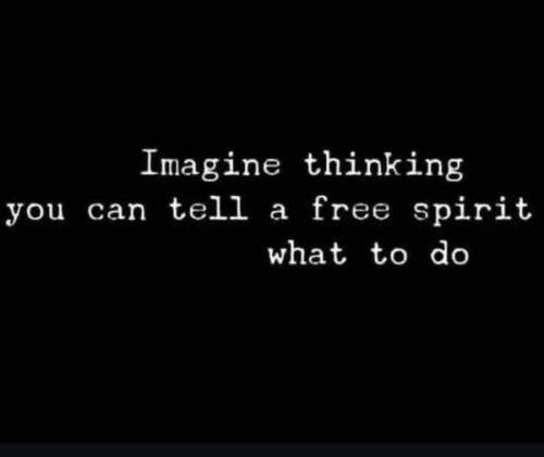 521537503_772913898471307_3352832674131629557_n