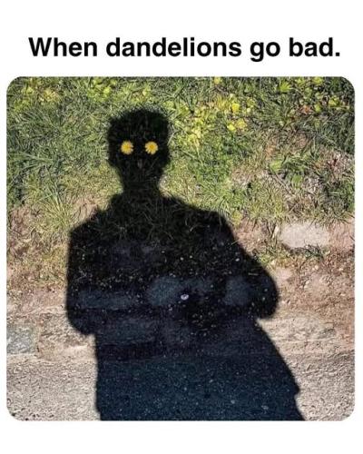 522724219_730254236379319_4604411478009602845_n