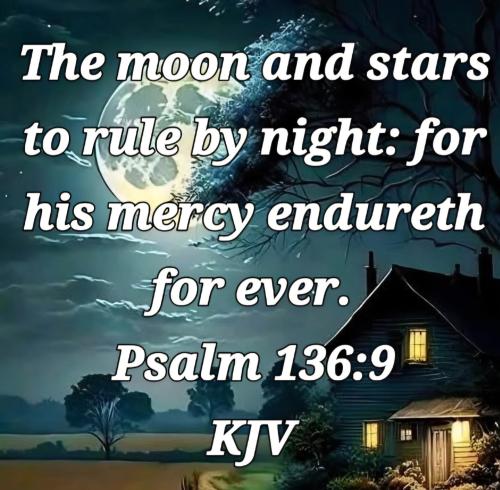 b10e6234-c320-4677-88a5-f5fc64cab8b3