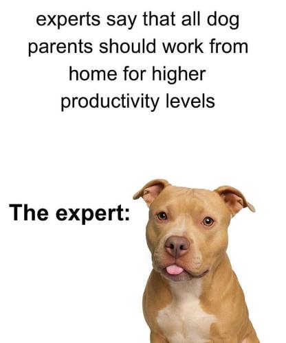 ab6c24f0307e8ebe372fd8e86ff8e2b7