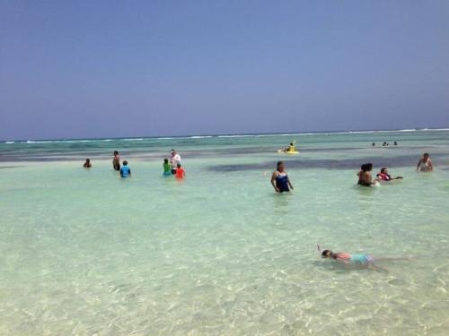 AD08B4C1-03C6-4D95-9D17-B42C7E32C52F