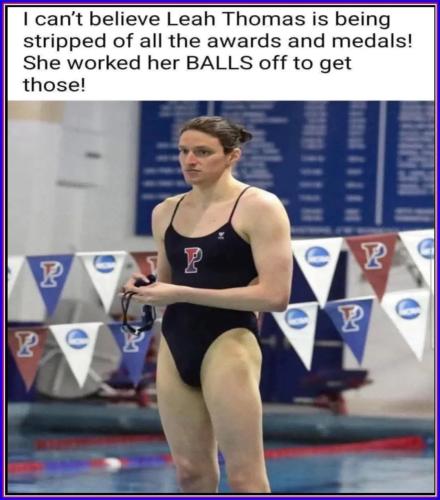 95ce02e7-a6b8-4768-b920-67353fa61dc5