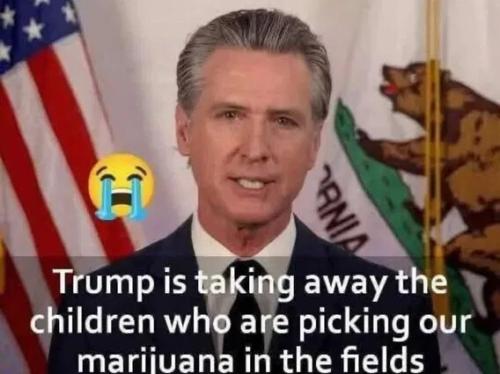 trump-taking-children