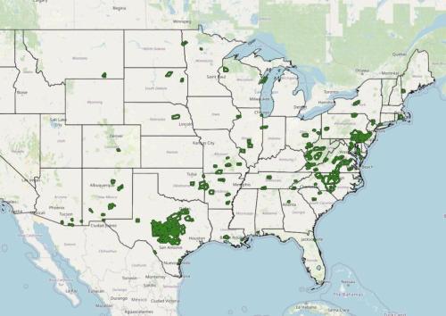 photo_2025-07-13_10-49-09