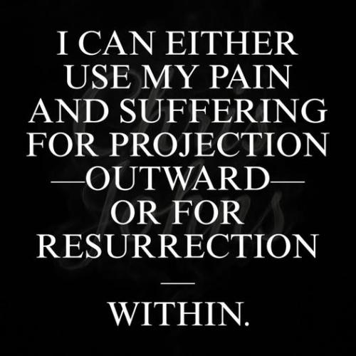 517557816_4096129220674753_8767576250919063911_n