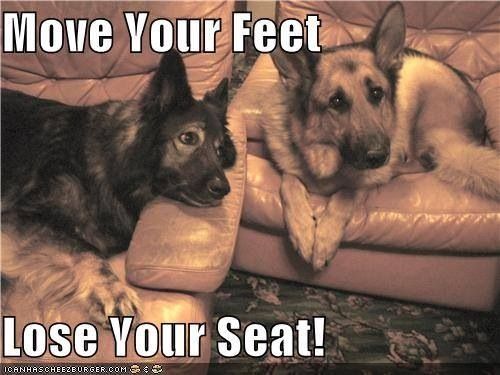 aa66207ff71bfd49ea5e1fa956f518b5