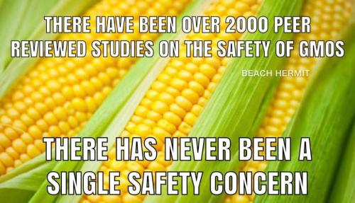 78ccbb8b-7471-404e-ab85-64858833e20a