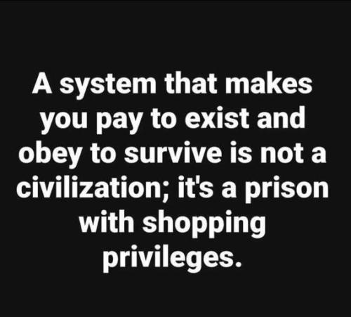 515499219_753999900486271_7371885128101187349_n