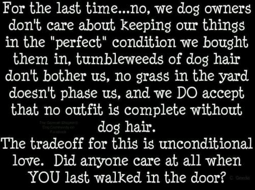 0d62d351bb3d2c27d48097accec785c6