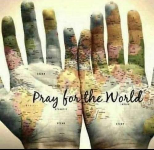 e0f2fc322cc0fda503d85544fe037c10