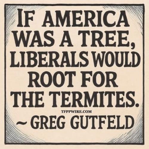 Greg Gutfeld