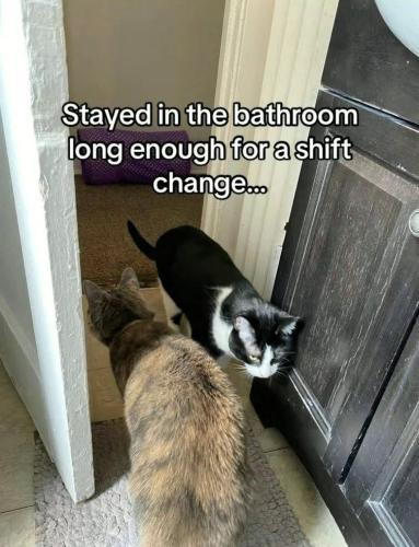 stayed-bathroom-long-enough-shift-change