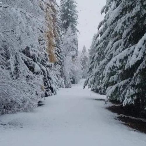 1942199e-3f46-4114-acb8-19ba0c40af62