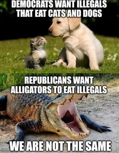 IMG_20250715_062205_691