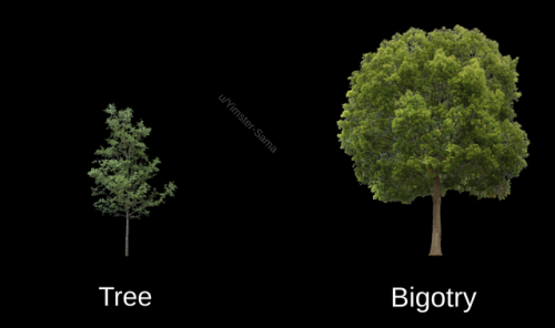 tree-bigotry