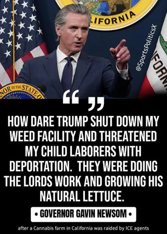 CriminalAndTerroristSupporterCorruptGavinNewsom