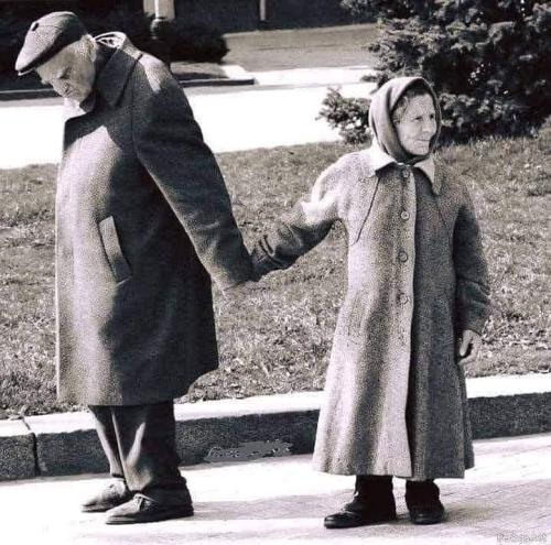 29c0c8ec-4280-4529-87ee-9df923eca6f7