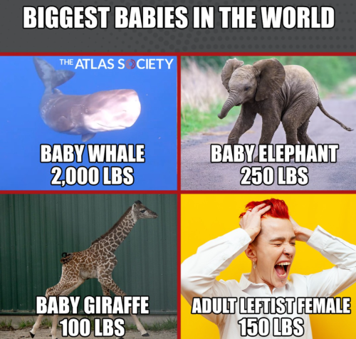 Screenshot 2025-07-17 085714