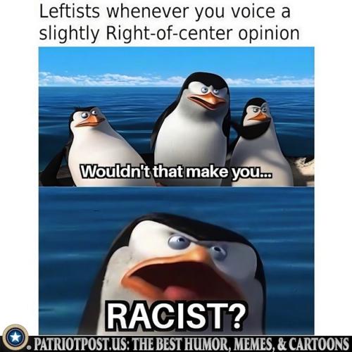 01K1DMHWEARFX7SXK2QV1YWGXA