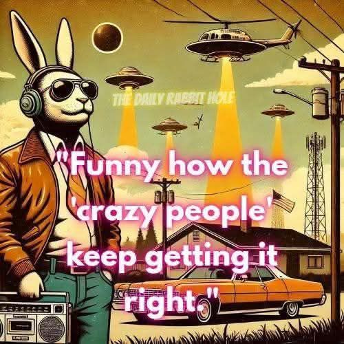 515079652_735763309339864_3042532257525795323_n