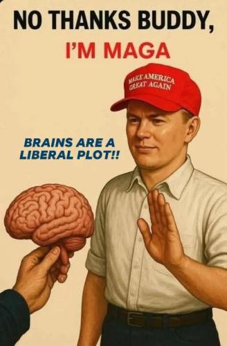 FB_IMG_1753033797229