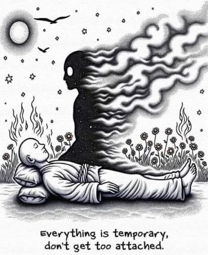 514396177_739490192300509_7875198902402959552_n