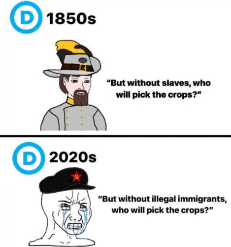 Screenshot 2025-07-30 083734