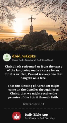 2025-07-211753135968322