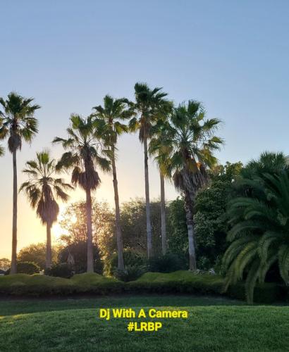 Screenshot_20250620_180411_Gallery