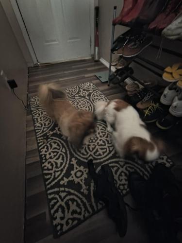 IMG_20250713_161853868_HDR