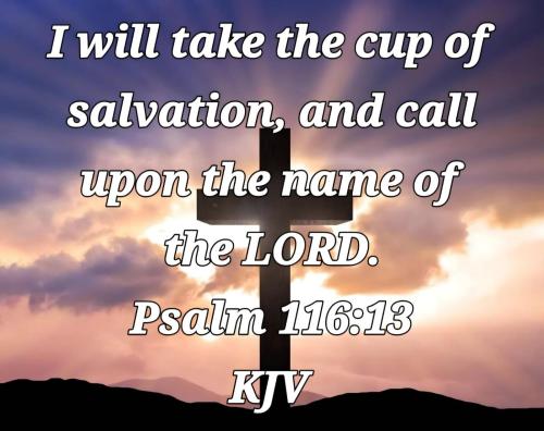 ee23d10c-58eb-4481-84ea-b12ff650893b