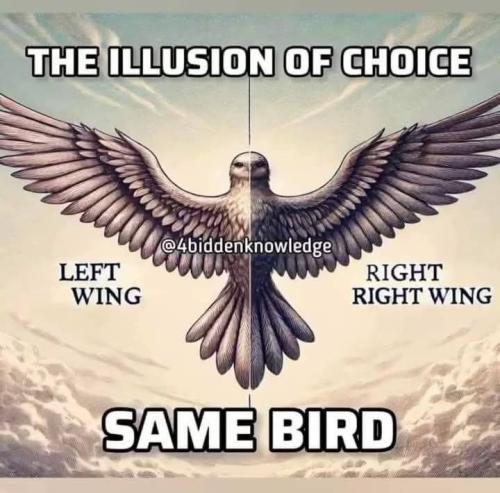 FB_IMG_1752439859395