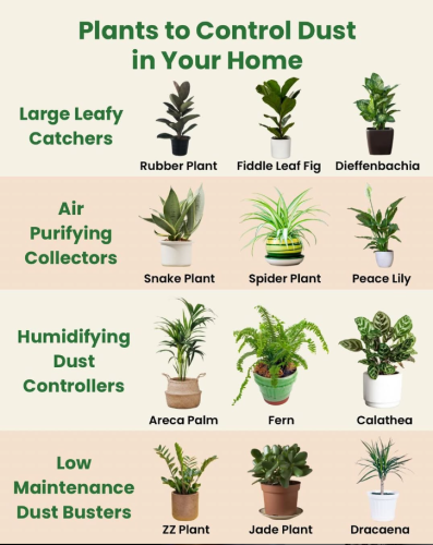 Screenshot 2025-06-29 105100