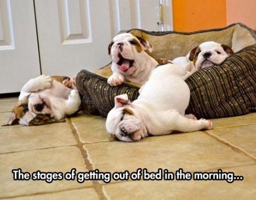 stages-getting-out-bed-morning