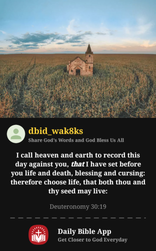 2025-07-291753841838151