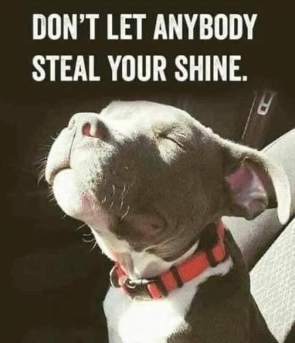 515502309_1070760085185172_904346125483797825_n