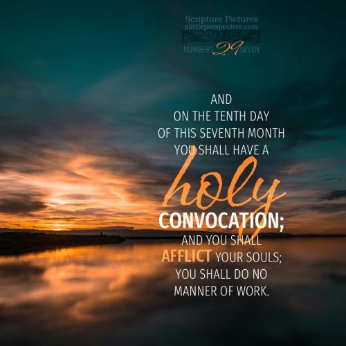 num-29-7-JPS-unsplash