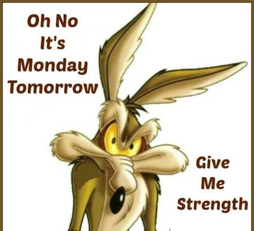 ac9f7f22dc27a56474dadb671962d534~2