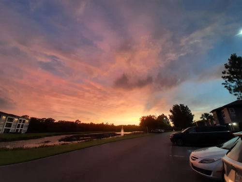 b919b866-8181-473f-8d43-49b08e6b6638