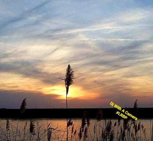 Screenshot_20250708_111311_Gallery